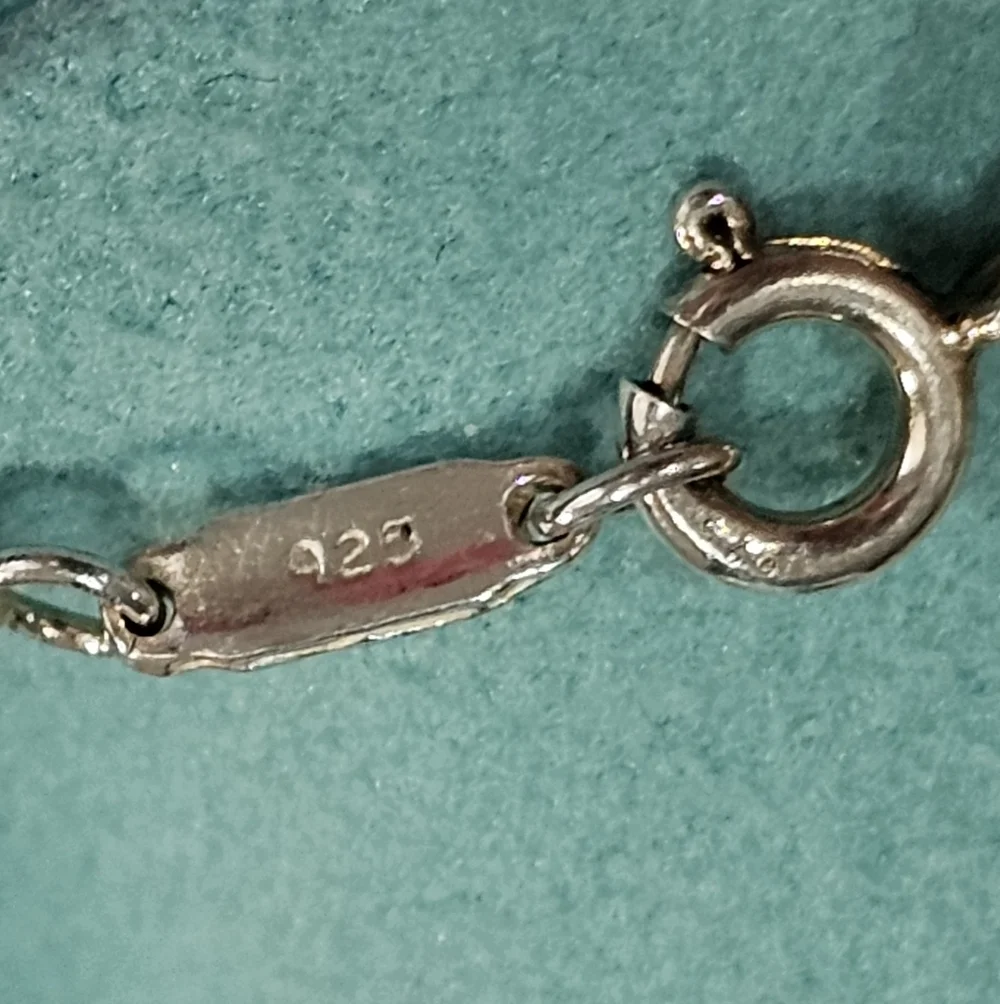 ✨Tiffany & Co. Atlas 925 Sterling Roman Numeral Dog Tag Pendant Necklace✨